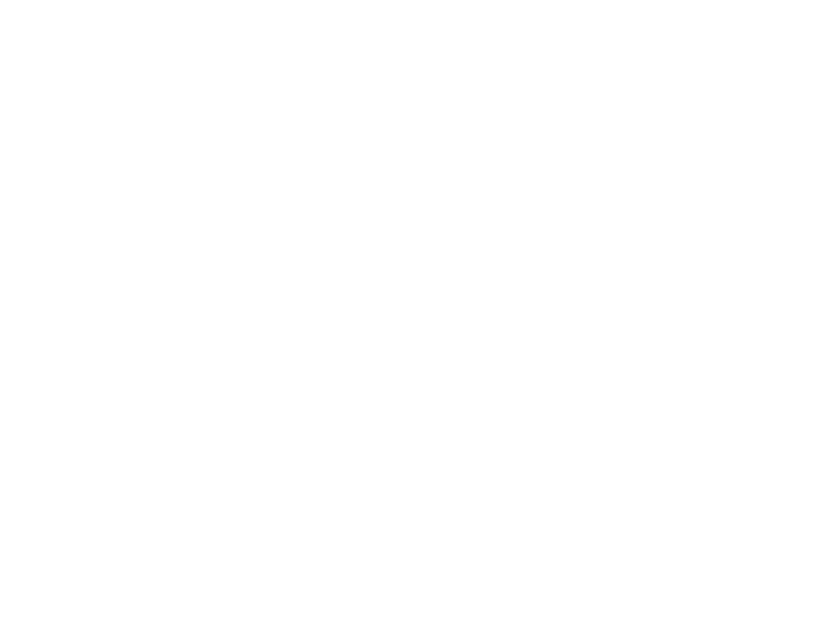 Battle Born logo white